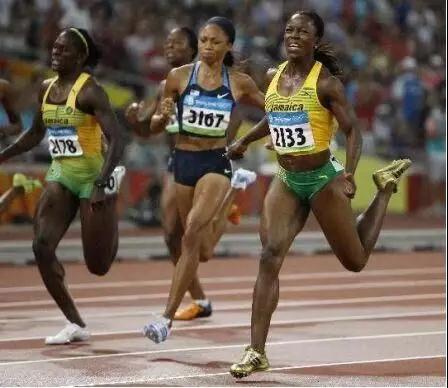 1544061200271918.jpg 16.jpg