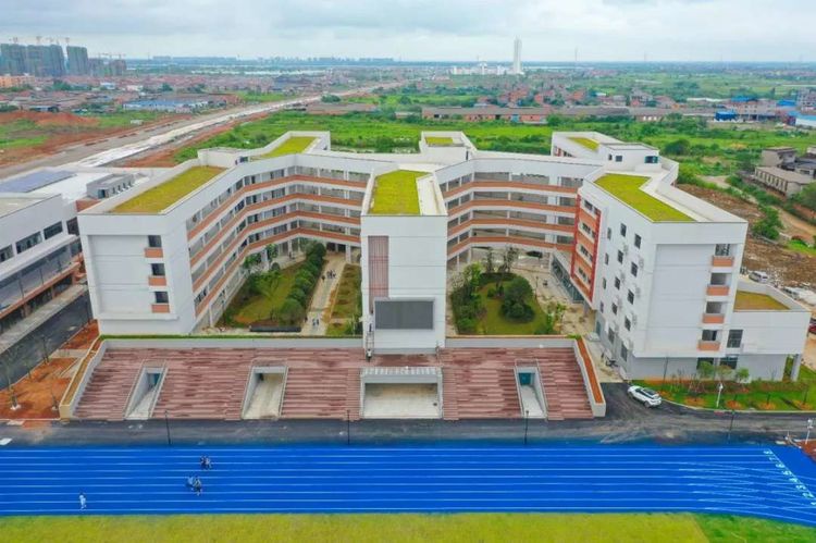 1567473343975331.jpg 30f392654738c7231c4fe7a85d4cfdeb.jpg