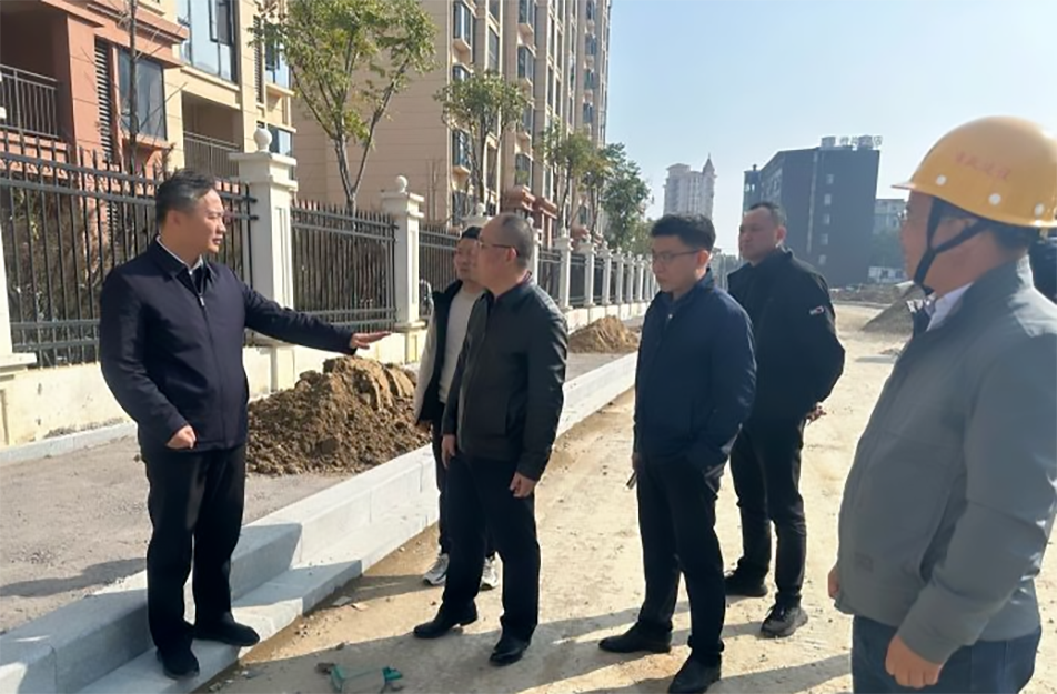 青山湖區(qū)黨委副書記、區(qū)長楊育星到利民路項(xiàng)目調(diào)研